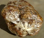 propolis &icirc;n punga